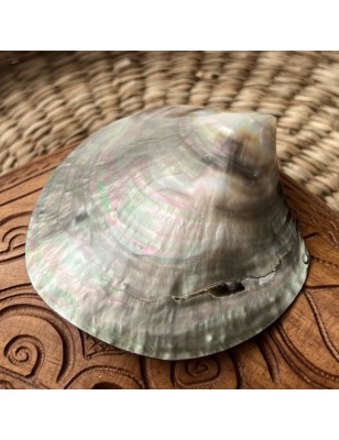 mother pearl price - perla tahiti