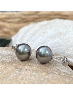 Earrings silver rhodium real Tahitian pearls bluepink color