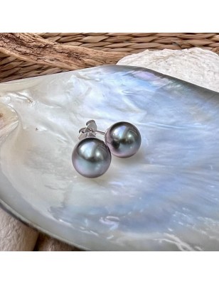 Earrings silver rhodium real Tahitian pearls bluepink color