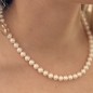 collar de perlas de agua dulce cierre de plata 925/00