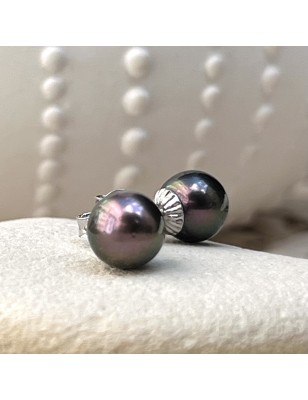 tahitian pearl ear studs price