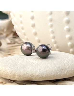 Metetini - Tahitian Pearl Silver Ear Studs