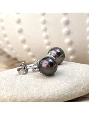 tahitian pearl ear studs price