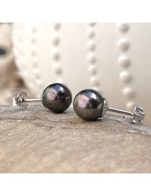 tahitian pearl ear studs price