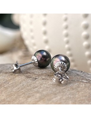 tahitian pearl ear studs price