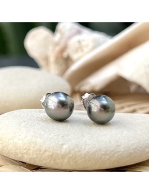 tahitian pearl ear stud price oyster