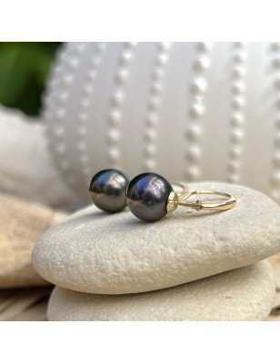 real Tahitian pearl 18 carat gold earrings studs price