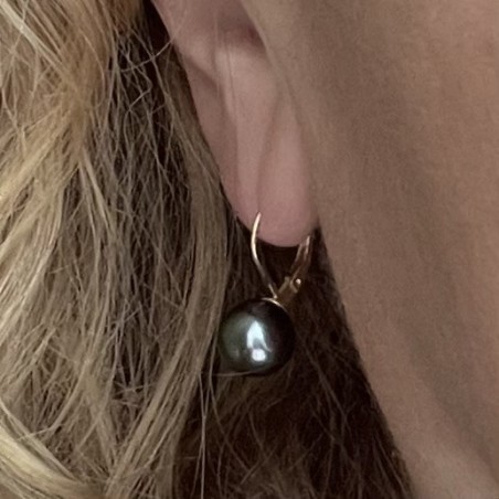 Erita - Tahitian Pearl 18K Yellow Gold Earrings