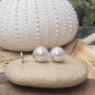 Hereata - Freshwater Pearl 18K Gold Ear Studs