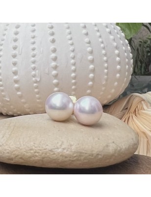 freshwater pearl gold earrings price pearl studs