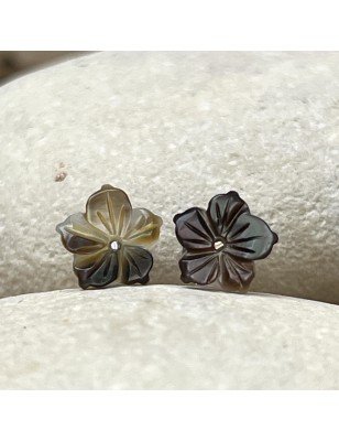 Pendientes con perla de Tahití