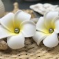 Barrette Fleur Frangipanier Perle de Tahiti Nuance Foncée