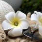 Barrette Fleur Frangipanier Perle de Tahiti Nuance Foncée