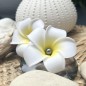 Barrette Fleur Frangipanier Perle de Tahiti Nuance Foncée