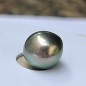 Perle de tahiti - Goutte - Paon - 10.04mm - Top Gem