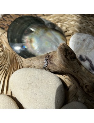 Pendentif argent 925/00 hippocampe prix du marché