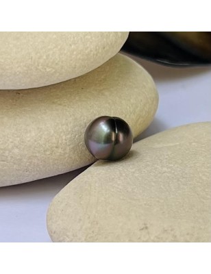 タヒチアンパール - サークル型 - オーベルジンブルー - 9.32mm