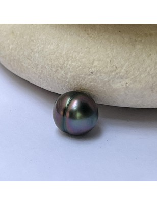 prix perle de Tahiti nue cerclée bleu aubergine 9mm