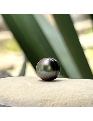 loose pearl from Tahiti circle shape 9mm - perla Tahiti