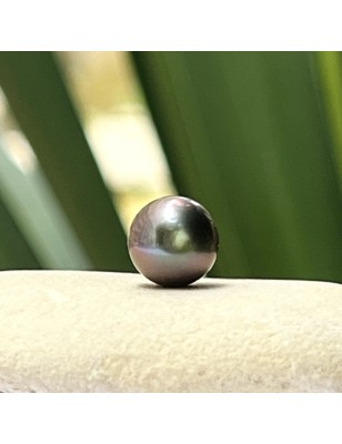loose pearl from Tahiti circle shape 9mm - perla Tahiti