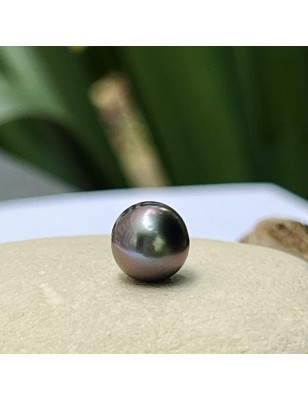 prix perle de Tahiti nue cerclée bleu aubergine 9mm
