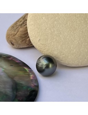 achat perle noire non montée avec certificat polynésie française prix