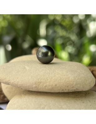 achat perle noire non montée avec certificat polynésie française prix