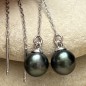 Motu - Tahitian Pearl Earrings - Rhodium Silver
