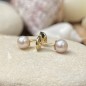 Herea - Freshwater Pearl 18K Gold Ear Studs