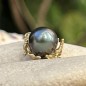 Te Anavai o Te Moana - Tahitian Pearl - 18k Gold Coral