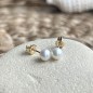 Clous d'Oreilles Perles d'Eau Douce - 5/6mm - ゴールド 18カラット