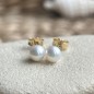 Ear Studs - Freshwater Pearls - 5/6mm - 18K Gold