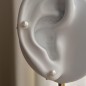 Ear Studs - Freshwater Pearls - 5/6mm - 18K Gold