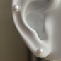 Clous d'Oreilles Perles d'Eau Douce - 5/6mm - Or 18 Carats