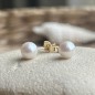 Clous d'Oreilles Perles d'Akoya - 6/7mm - オール18カラット