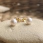 Ear Studs - Akoya Pearls - 6/7mm - 18K Gold