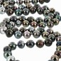 Circle Tahitian Pearl Long Necklace