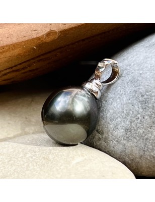 big black pearl gold men's pendant price - perla Tahiti