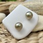 Lagon - Tahitian Pearls Gold Stud Earrings