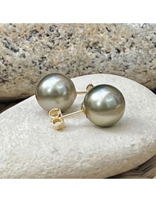 rare Tahitian pearls in gold earrings price - perla Tahiti
