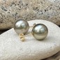 Lagon - Tahitian Pearls Gold Stud Earrings