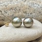 Lagon - Tahitian Pearls Gold Stud Earrings