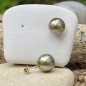 Lagon - Tahitian Pearls Gold Stud Earrings