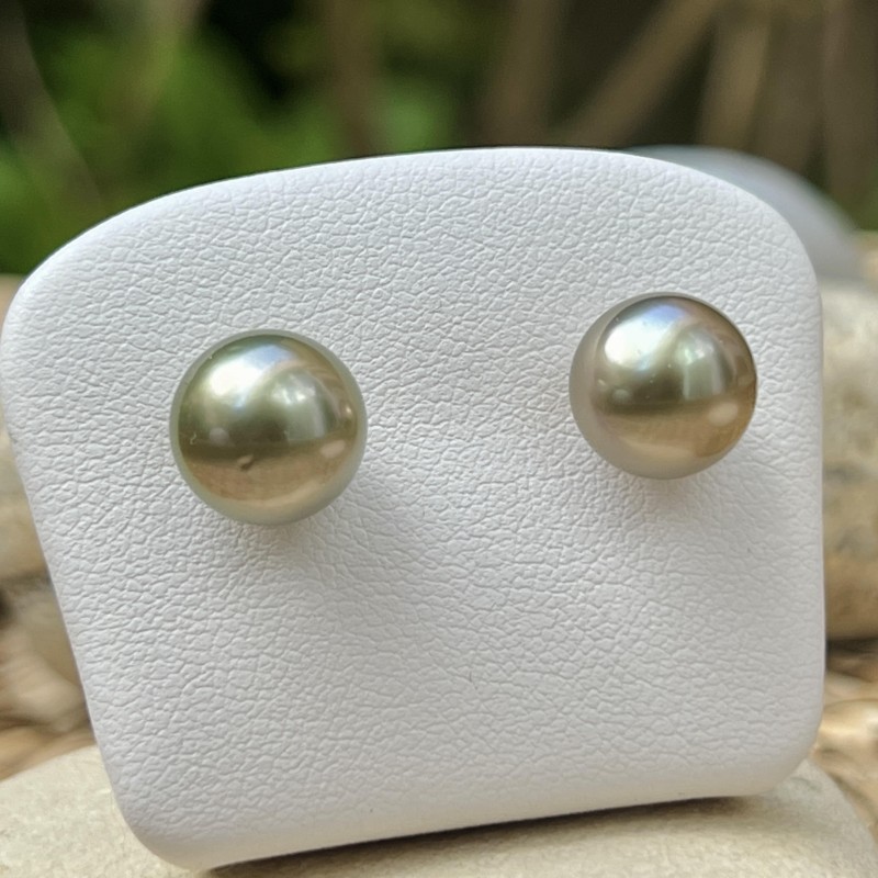 Lagon - Tahitian Pearls Gold Stud Earrings