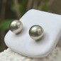 Lagon - Tahitian Pearls Gold Stud Earrings