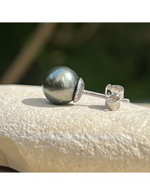where find a single earring in tahitian pearl ?