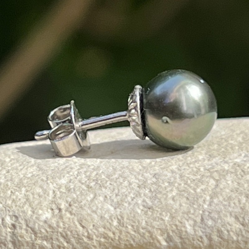 where find a single earring in tahitian pearl ?