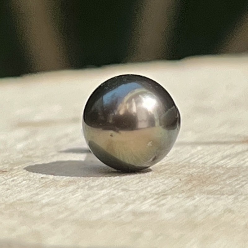 Epure - Boucle à l'Unité - Peacock - 7.81mm