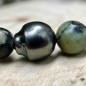 Turquoises and Tahitian Pearl Bracelet - 9.85mm Turquoises and Tahitian Pearl Bracelet - 9.85mm