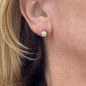 Éclatante - 18K Gold - Champagne - 8.60mm